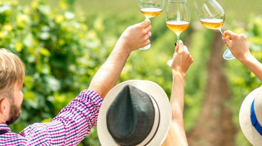 Giro Vino: Recensione delle cantine della Costa dei Trabocchi