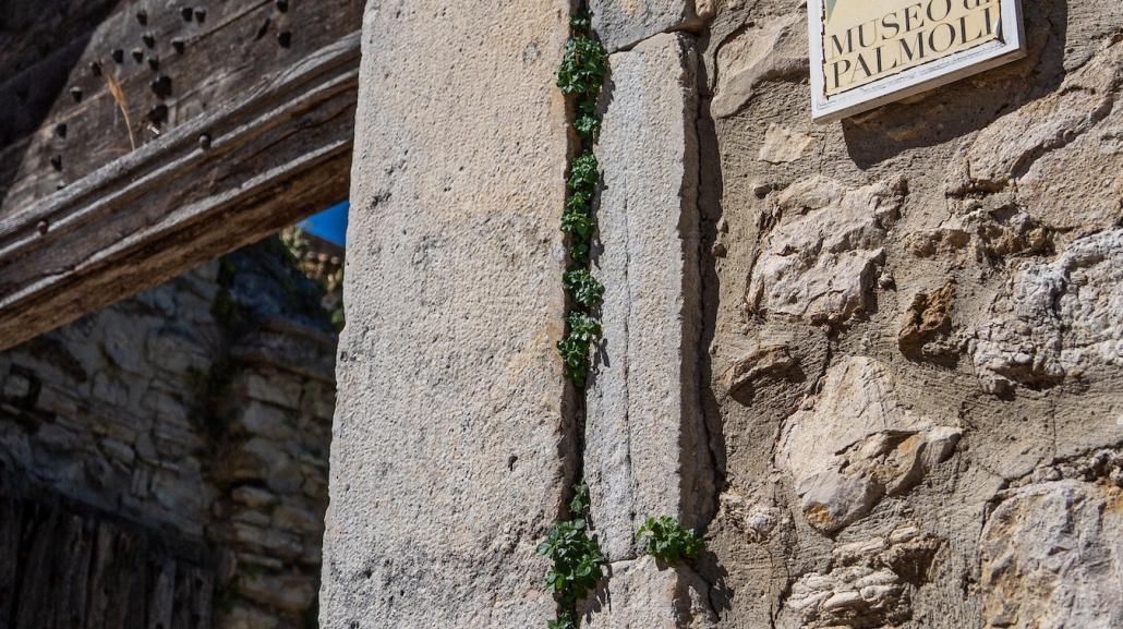 Palmoli
