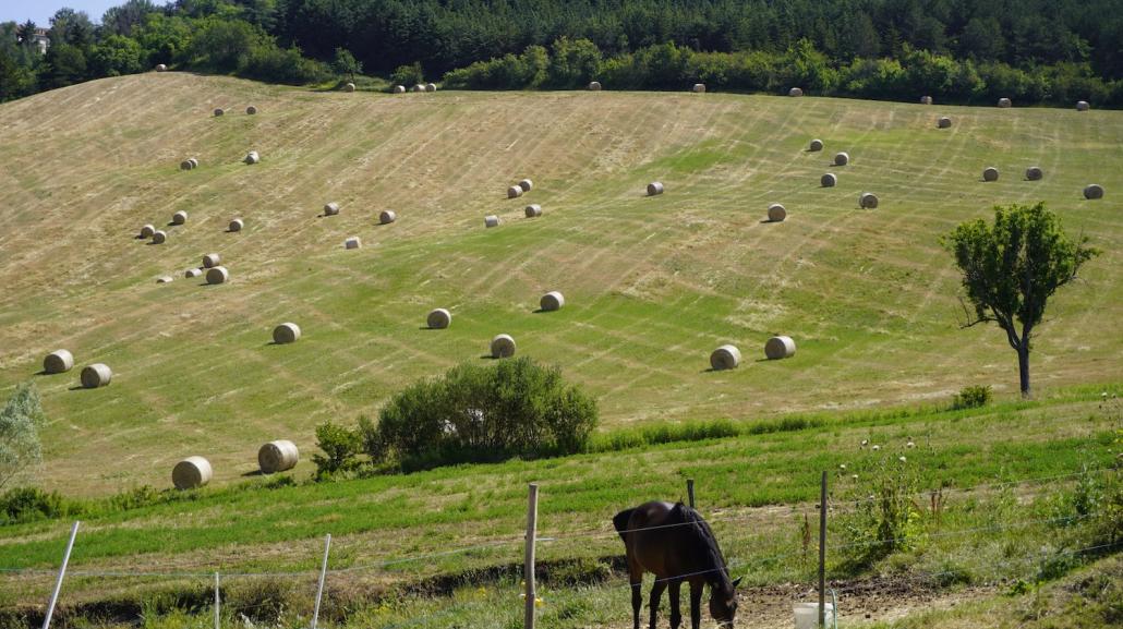 L'esperienza di montagna